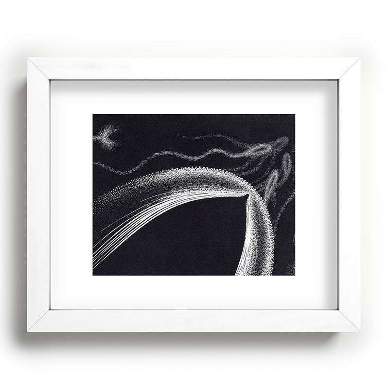 "Dolphins" by M.C. Escher Framed Art Print