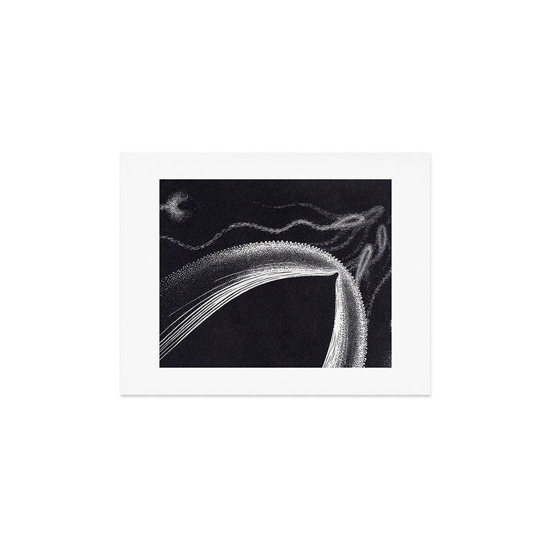 "Dolphins" by M.C. Escher Art Print