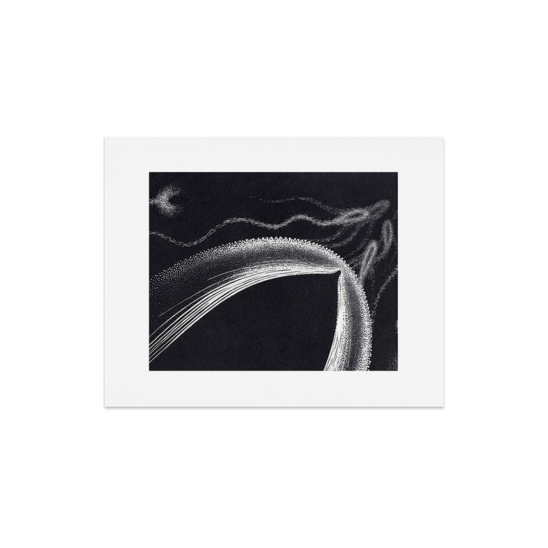 "Dolphins" by M.C. Escher Art Print