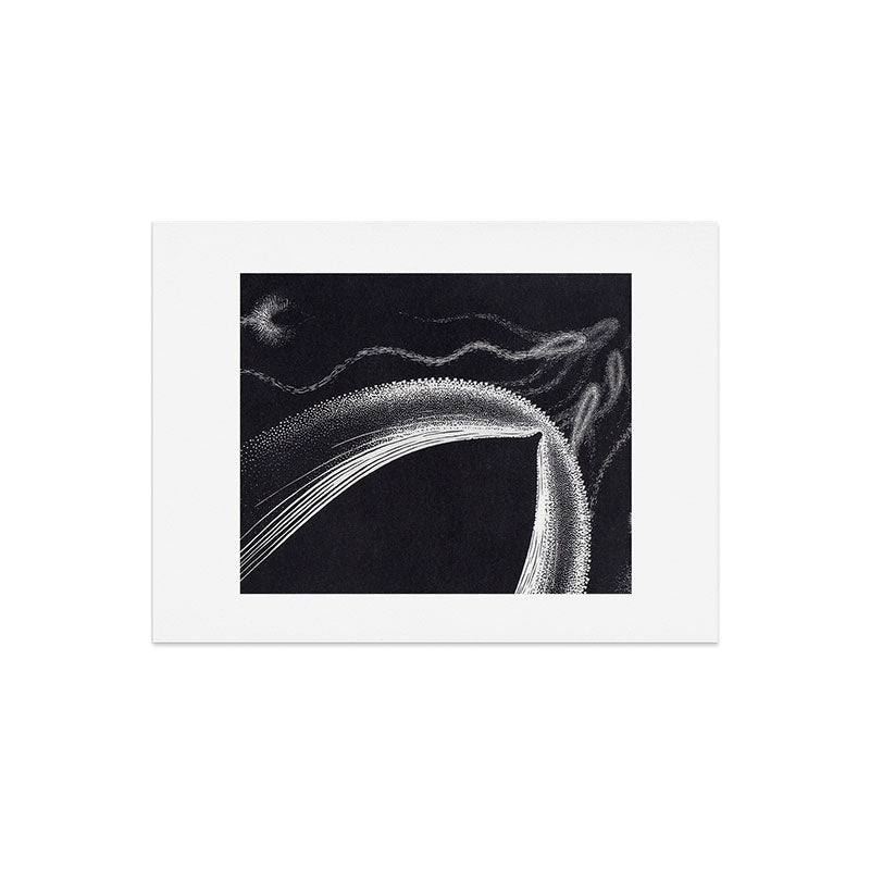 "Dolphins" by M.C. Escher Art Print