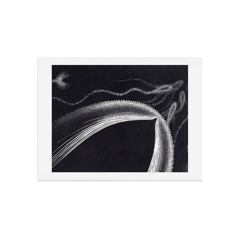 "Dolphins" by M.C. Escher Art Print
