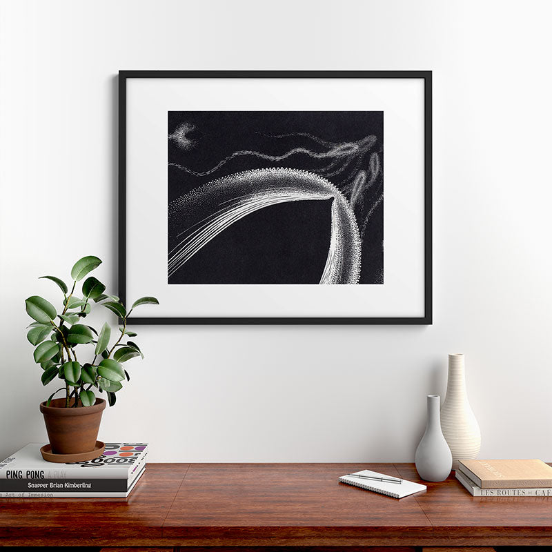 "Dolphins" by M.C. Escher Framed Art Print