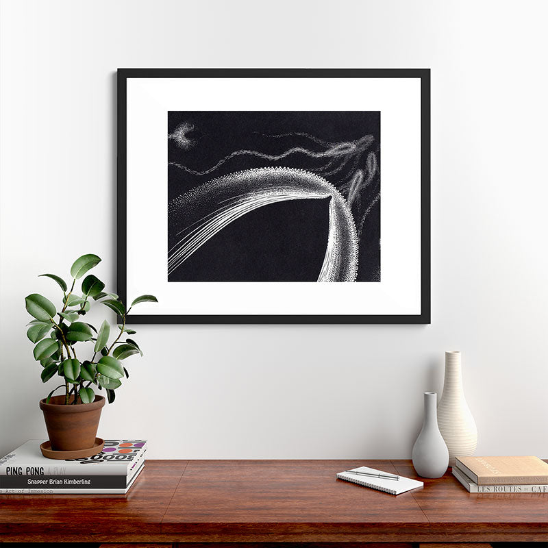 "Dolphins" by M.C. Escher Framed Art Print