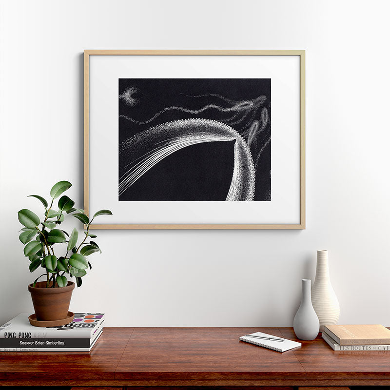 "Dolphins" by M.C. Escher Framed Art Print