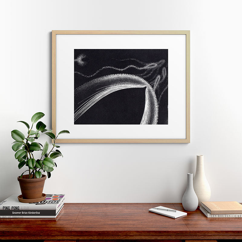"Dolphins" by M.C. Escher Framed Art Print