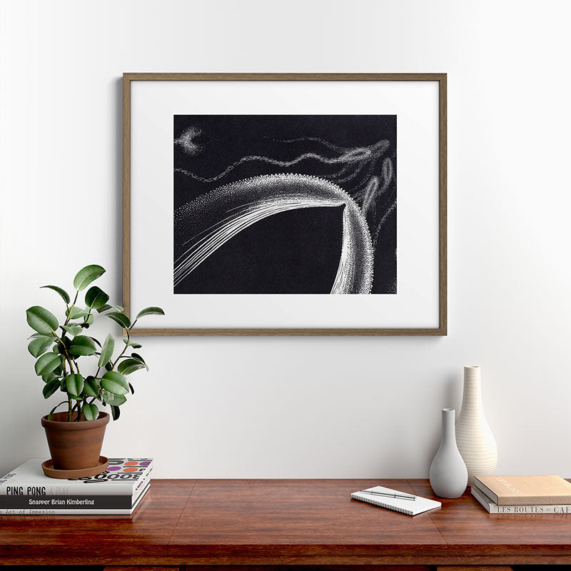 "Dolphins" by M.C. Escher Framed Art Print