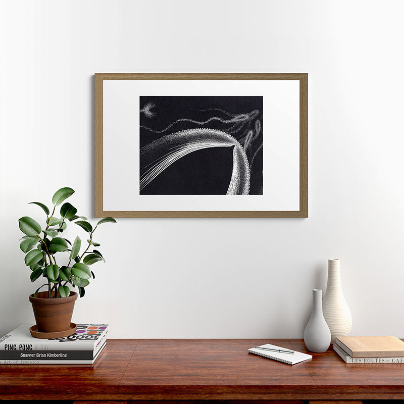 "Dolphins" by M.C. Escher Framed Art Print