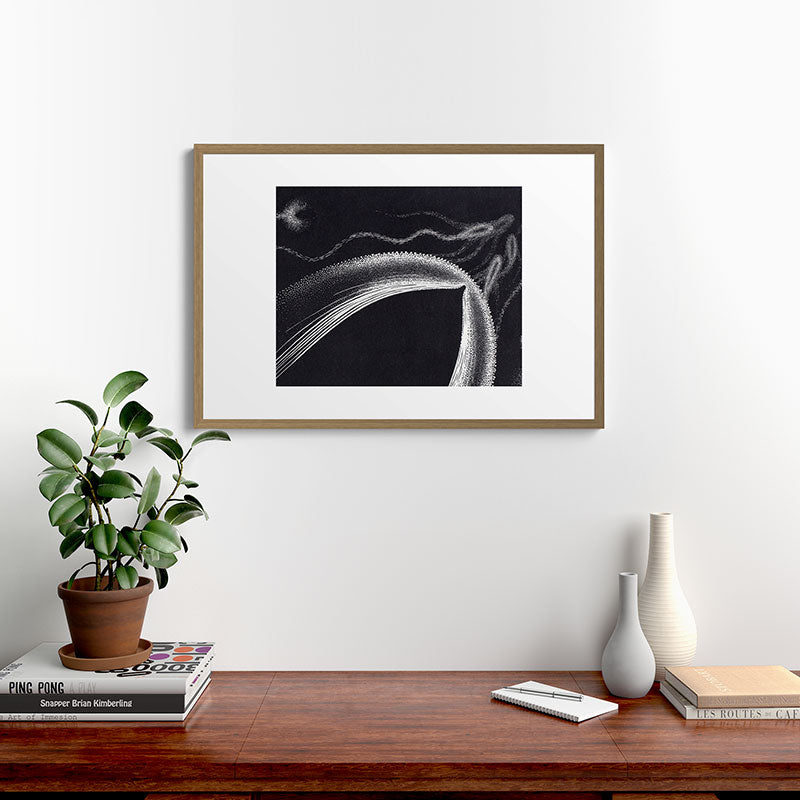 "Dolphins" by M.C. Escher Framed Art Print
