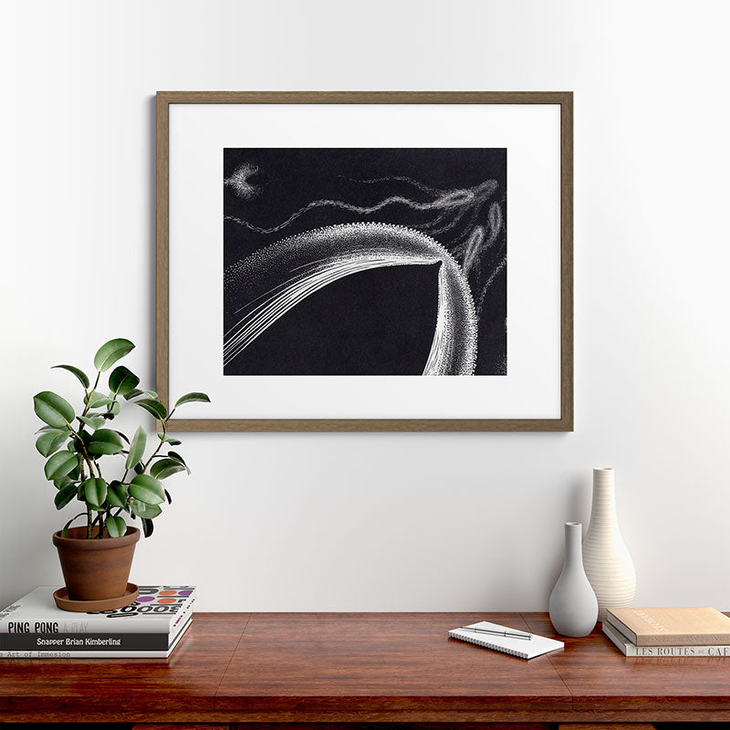 "Dolphins" by M.C. Escher Framed Art Print