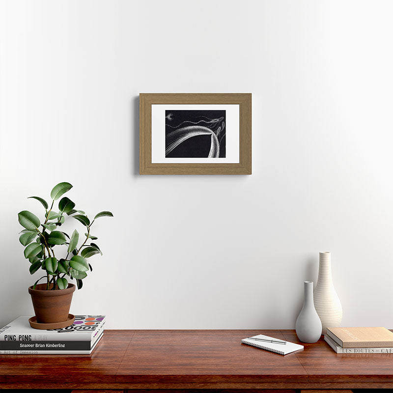 "Dolphins" by M.C. Escher Framed Art Print