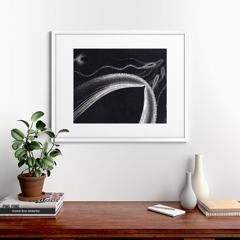 "Dolphins" by M.C. Escher Framed Art Print