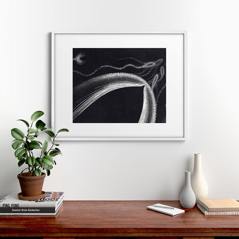 "Dolphins" by M.C. Escher Framed Art Print