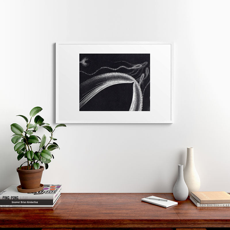 "Dolphins" by M.C. Escher Framed Art Print