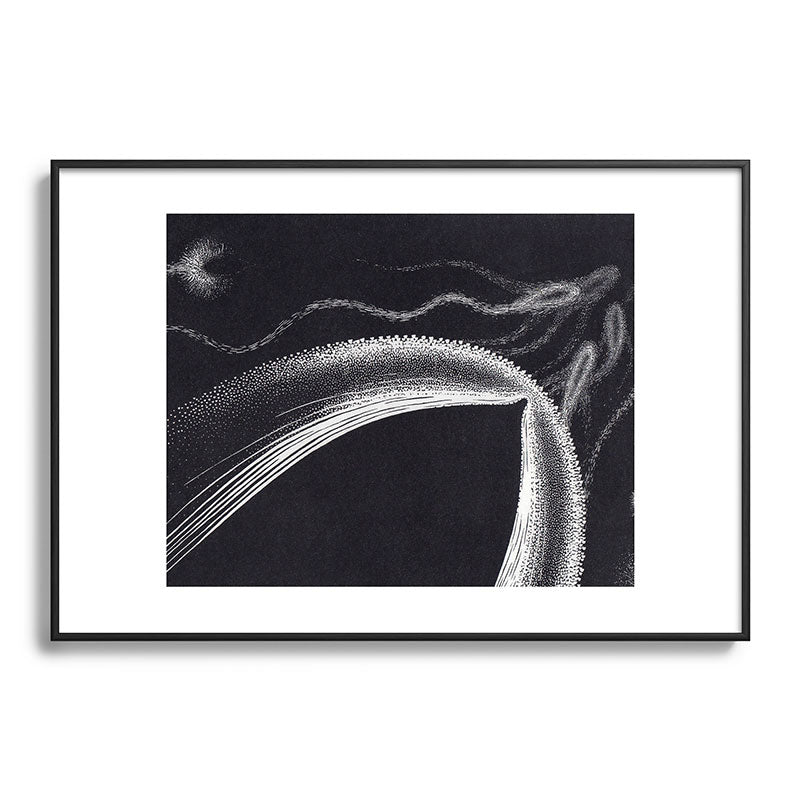 "Dolphins" by M.C. Escher Framed Art Print