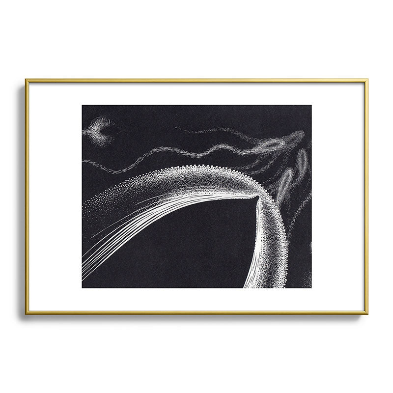 "Dolphins" by M.C. Escher Framed Art Print