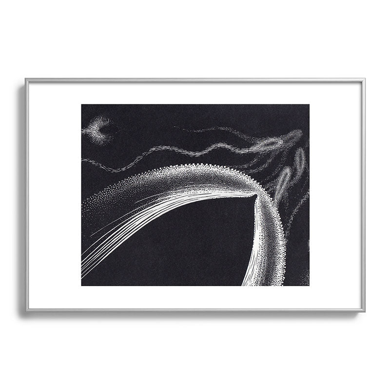 "Dolphins" by M.C. Escher Framed Art Print
