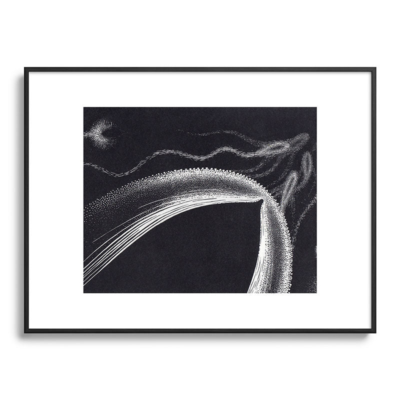 "Dolphins" by M.C. Escher Framed Art Print