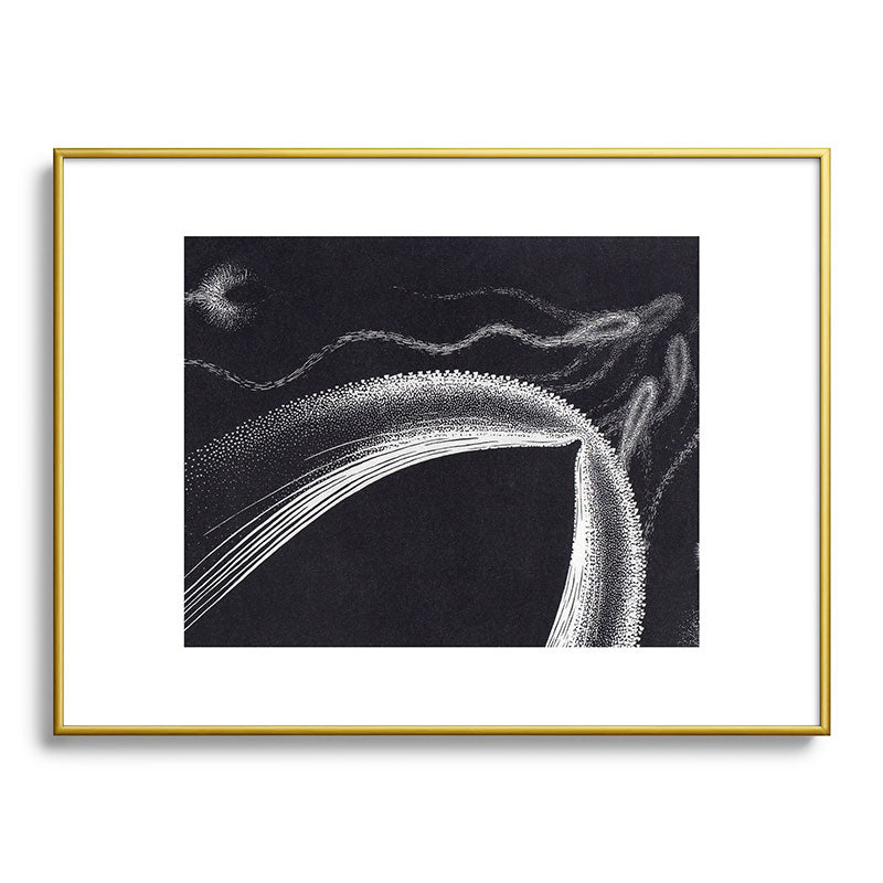 "Dolphins" by M.C. Escher Framed Art Print