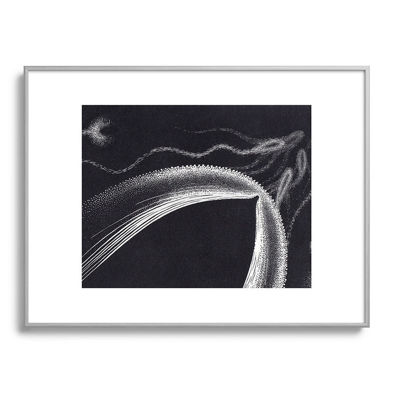 "Dolphins" by M.C. Escher Framed Art Print
