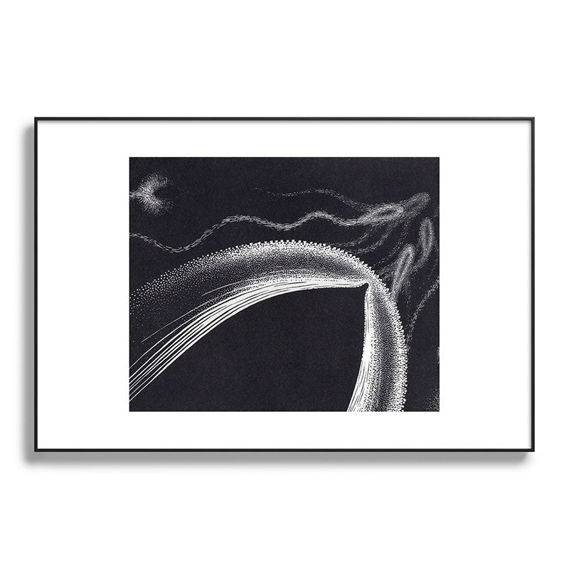 "Dolphins" by M.C. Escher Framed Art Print