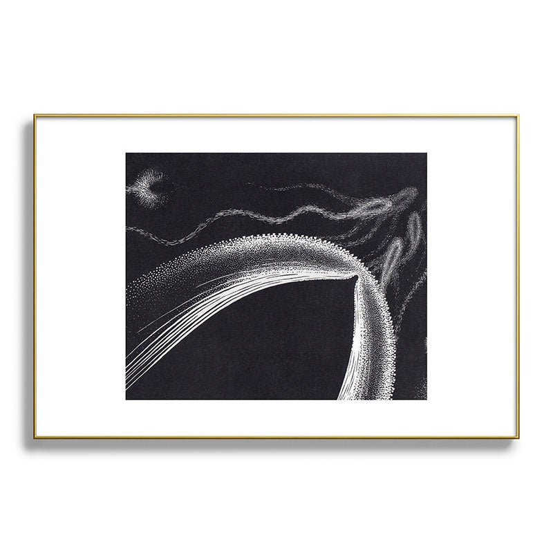 "Dolphins" by M.C. Escher Framed Art Print