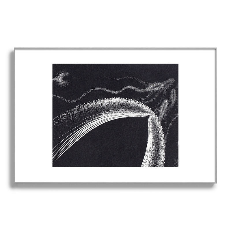 "Dolphins" by M.C. Escher Framed Art Print