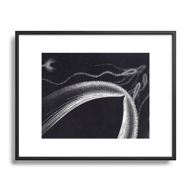 "Dolphins" by M.C. Escher Framed Art Print