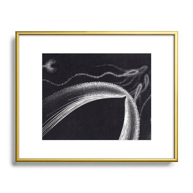 "Dolphins" by M.C. Escher Framed Art Print