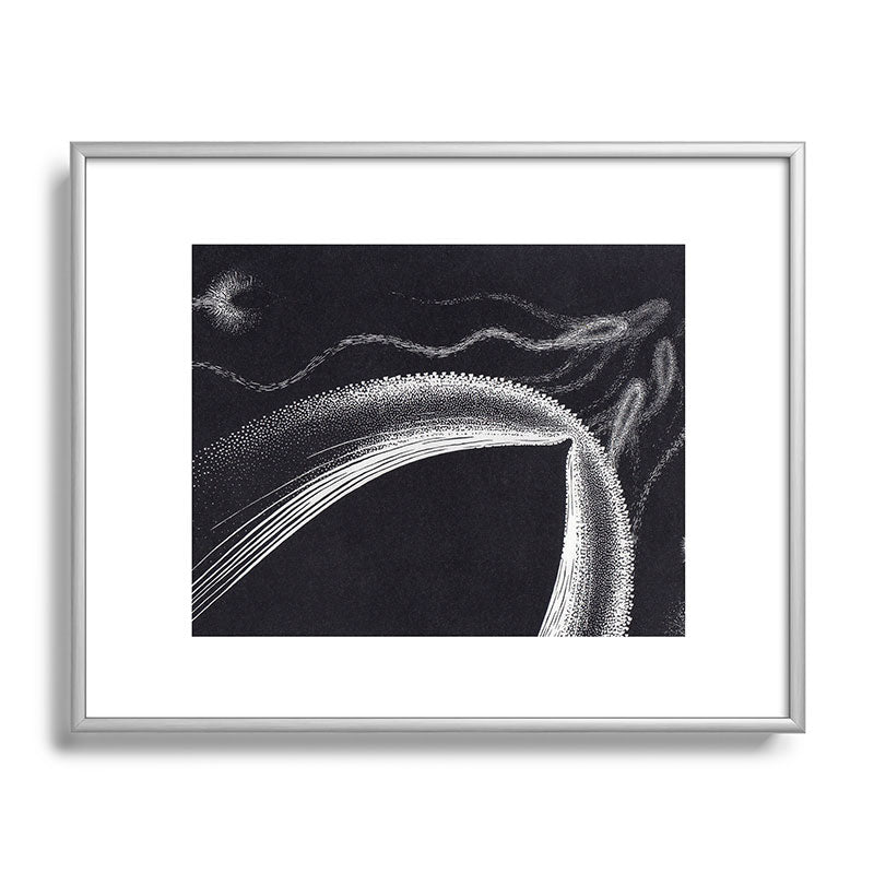 "Dolphins" by M.C. Escher Framed Art Print