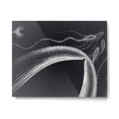 "Dolphins" by M.C. Escher Metal Print