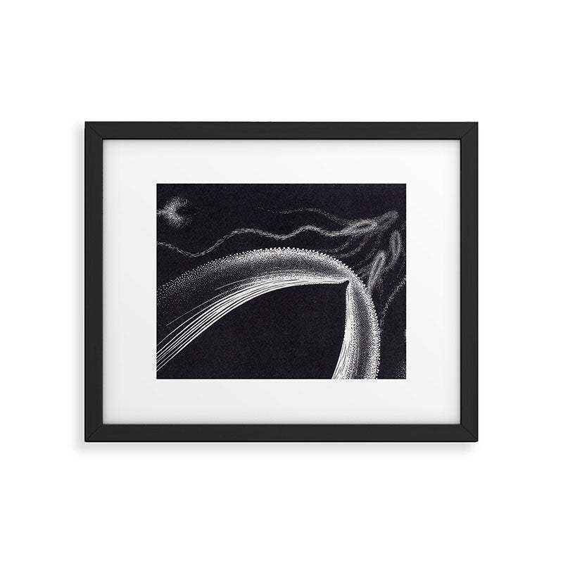 "Dolphins" by M.C. Escher Framed Art Print