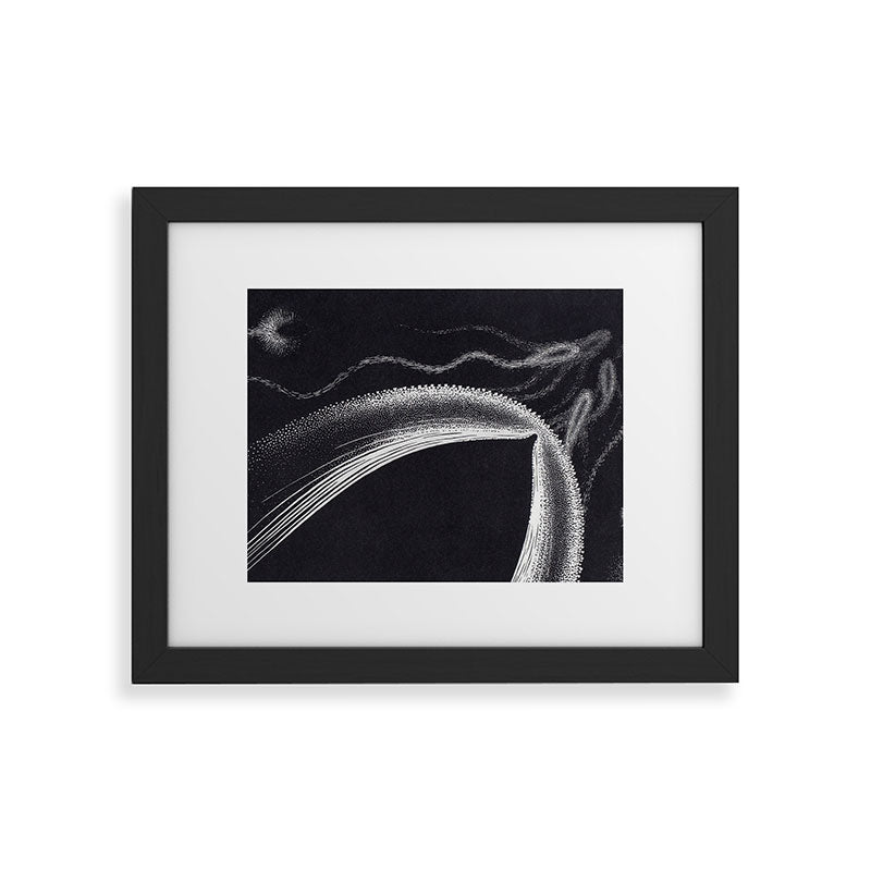 "Dolphins" by M.C. Escher Framed Art Print