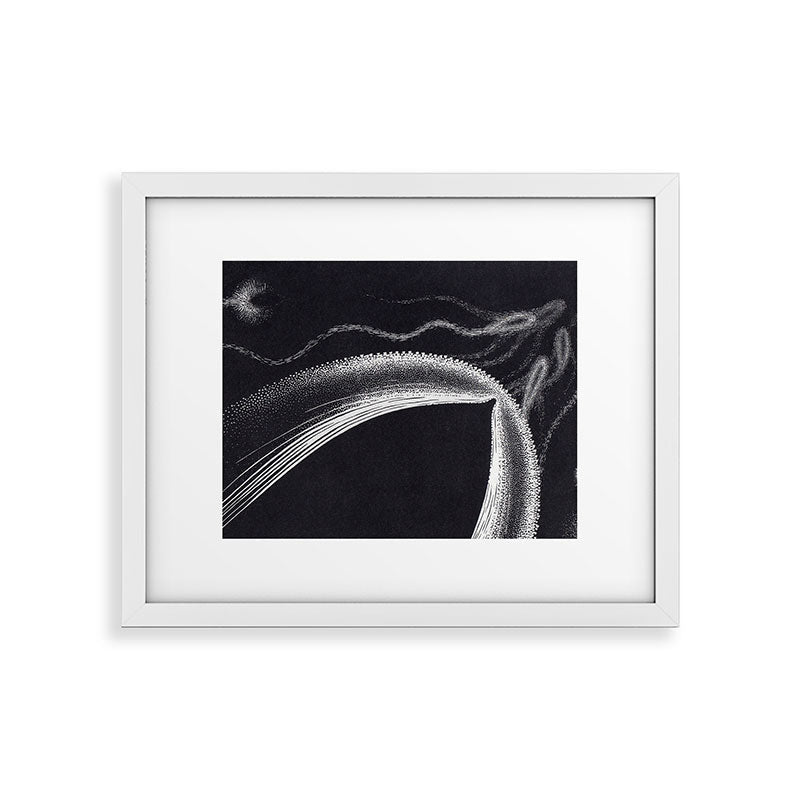 "Dolphins" by M.C. Escher Framed Art Print