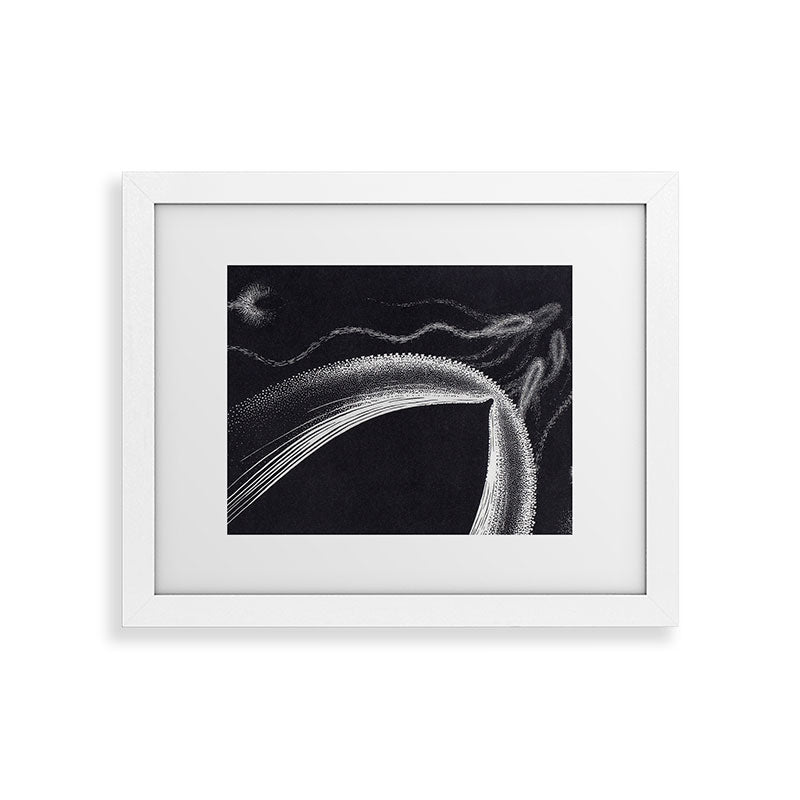 "Dolphins" by M.C. Escher Framed Art Print