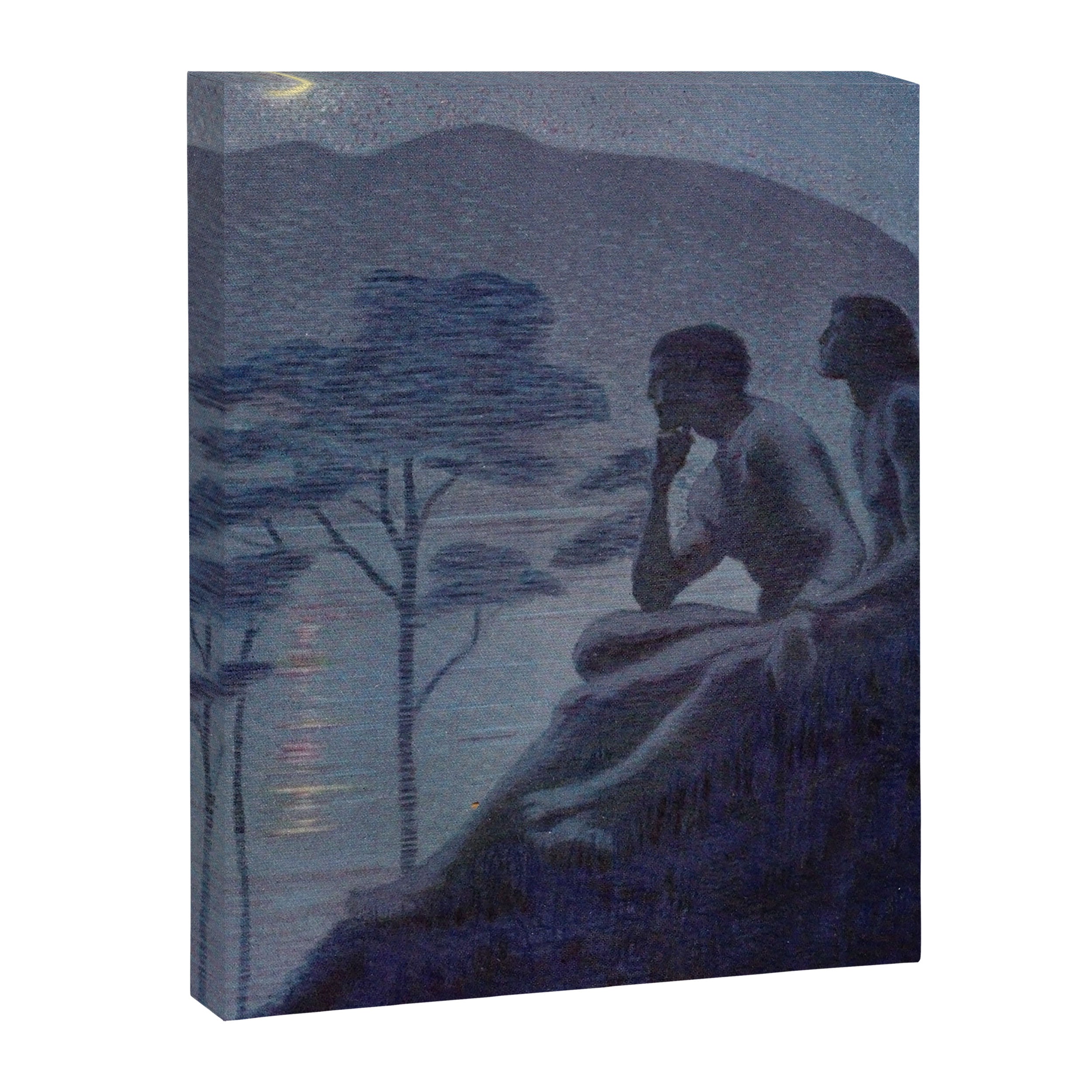 "Give me nights perfectly quiet... and I looking up at the stars" (Margaret C Cook, Leaves of Grass) Canvas Print