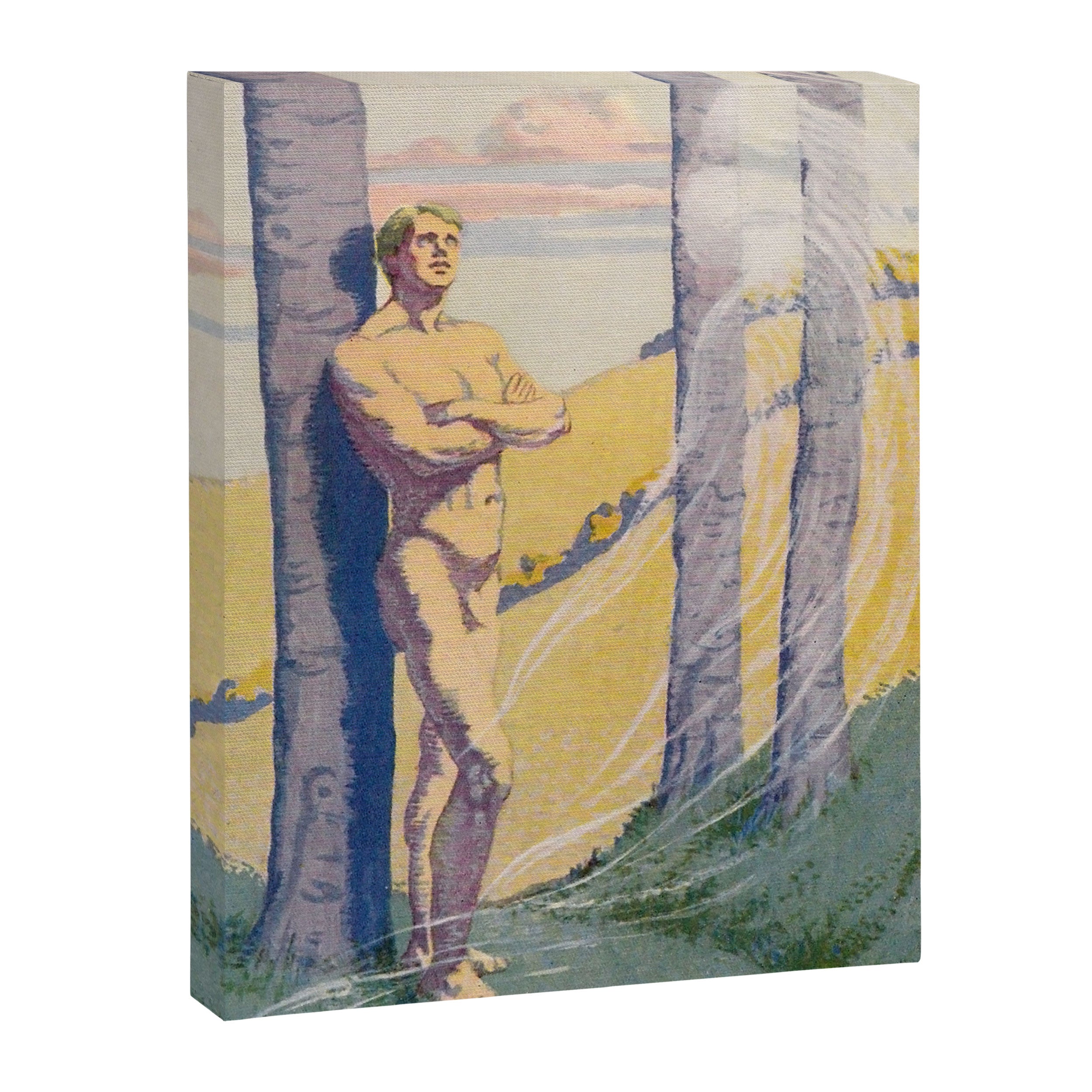 "Living beings, identities now doubtless near us in the air that we know not of" (Margaret C. Cook) Canvas Print