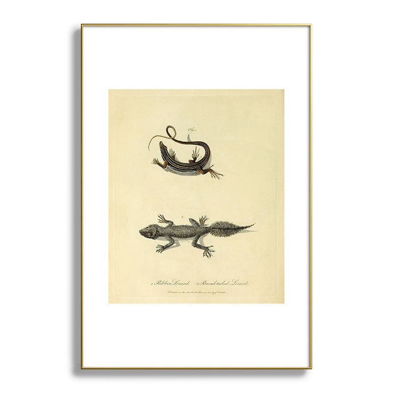 "Ribbon Lizard and Broad-Tailed Lizard" by Sarah Stone, 1790 Framed Art Print