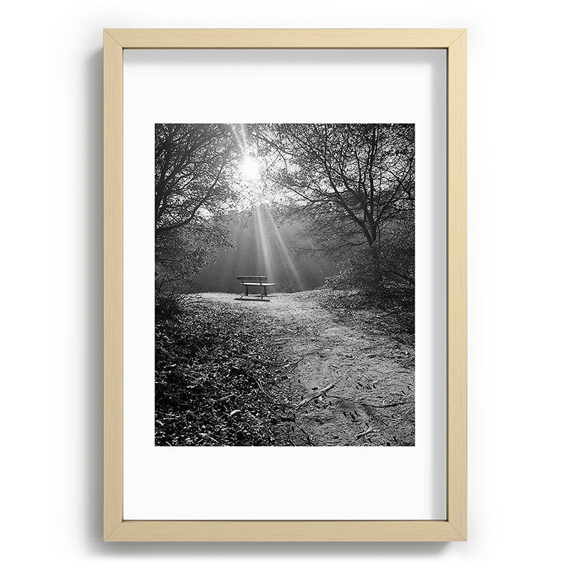 "Sunlit Solitude" by Maria Popova Framed Art Print