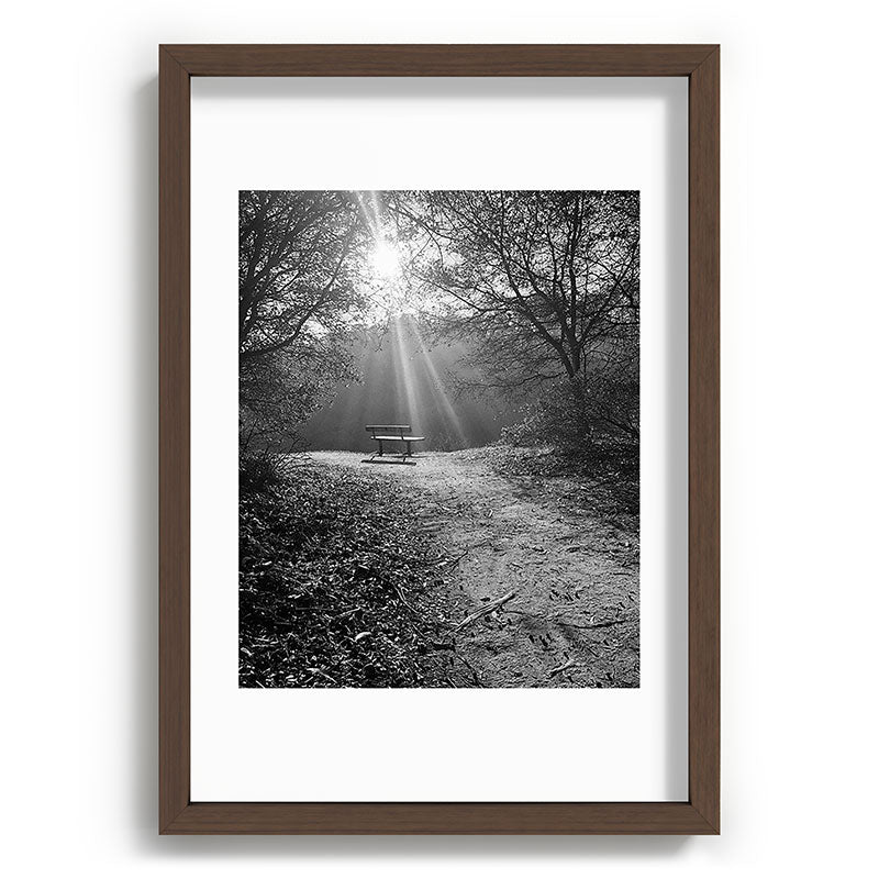 "Sunlit Solitude" by Maria Popova Framed Art Print