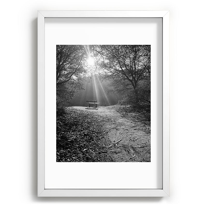 "Sunlit Solitude" by Maria Popova Framed Art Print