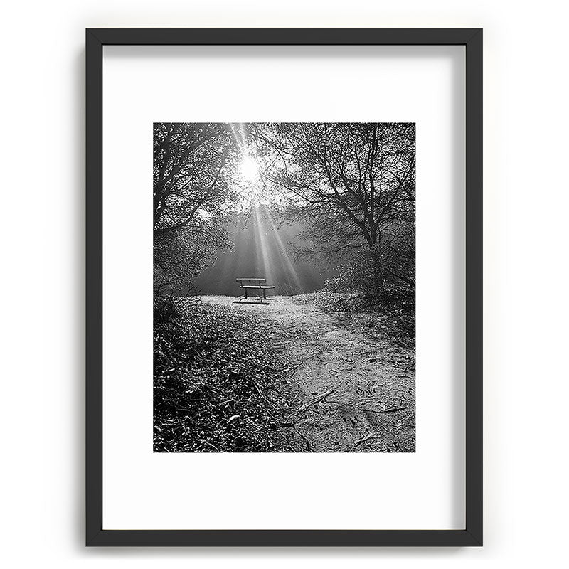 "Sunlit Solitude" by Maria Popova Framed Art Print