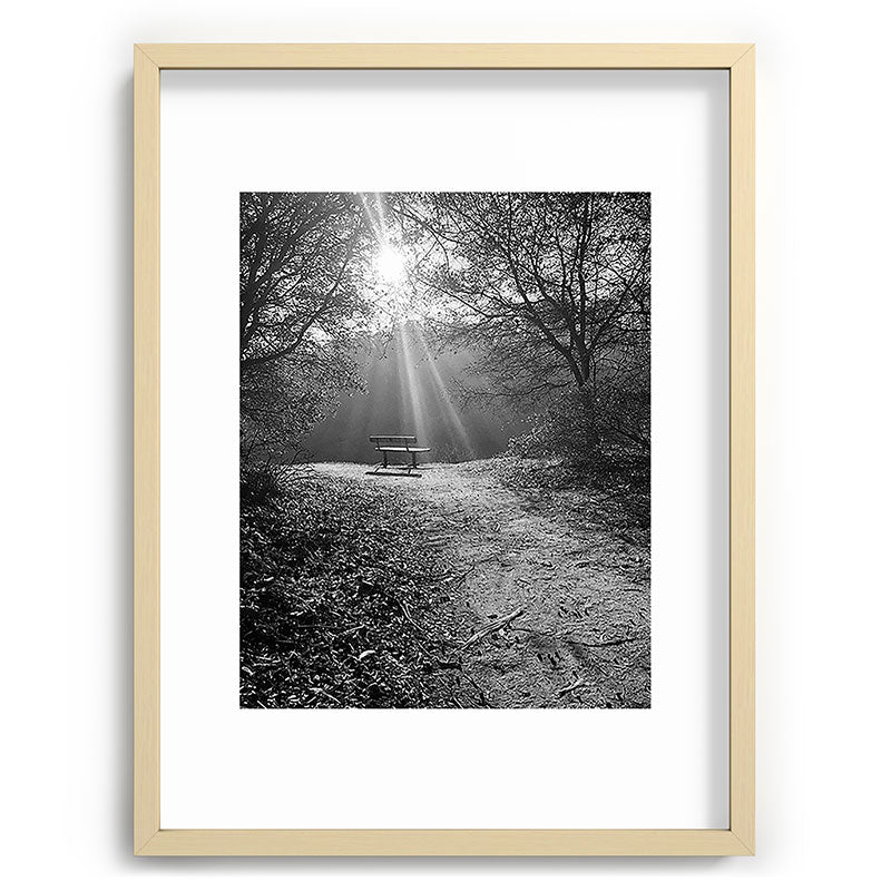 "Sunlit Solitude" by Maria Popova Framed Art Print