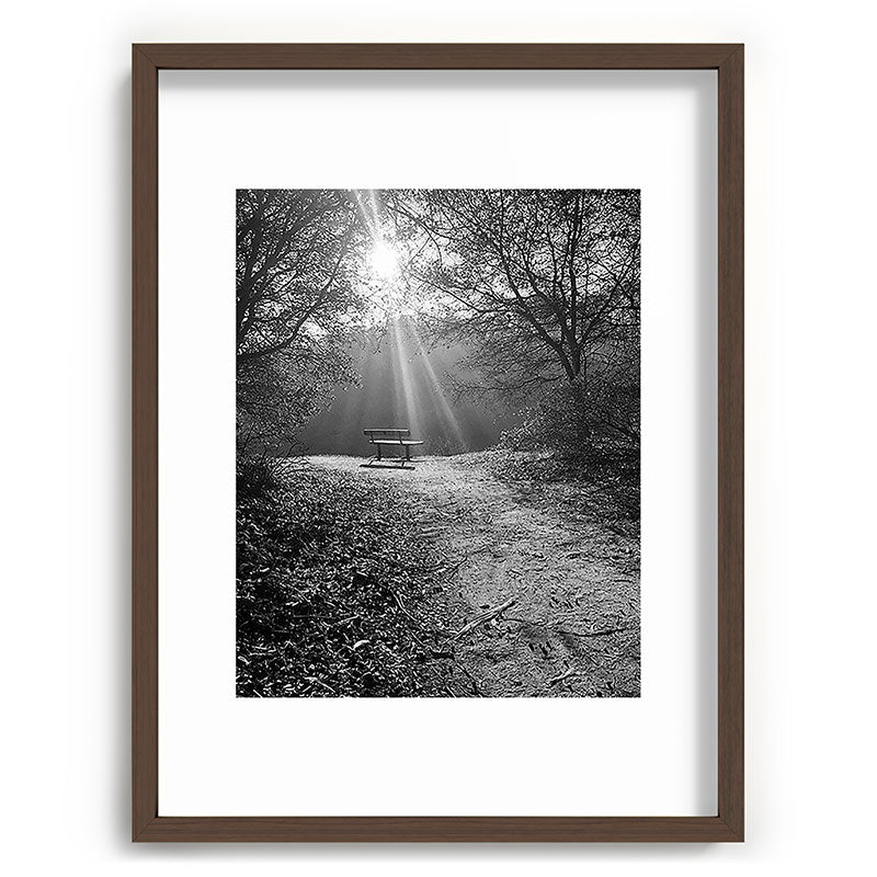 "Sunlit Solitude" by Maria Popova Framed Art Print