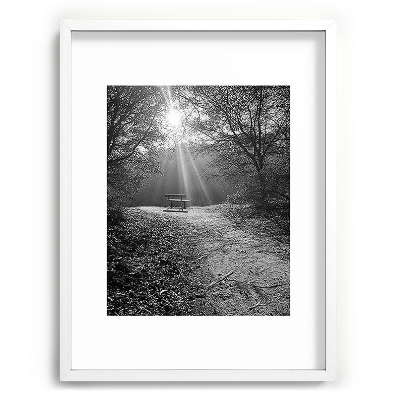 "Sunlit Solitude" by Maria Popova Framed Art Print