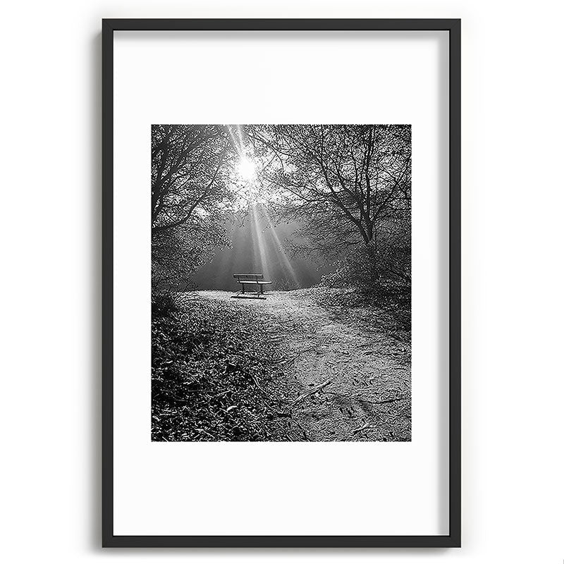 "Sunlit Solitude" by Maria Popova Framed Art Print