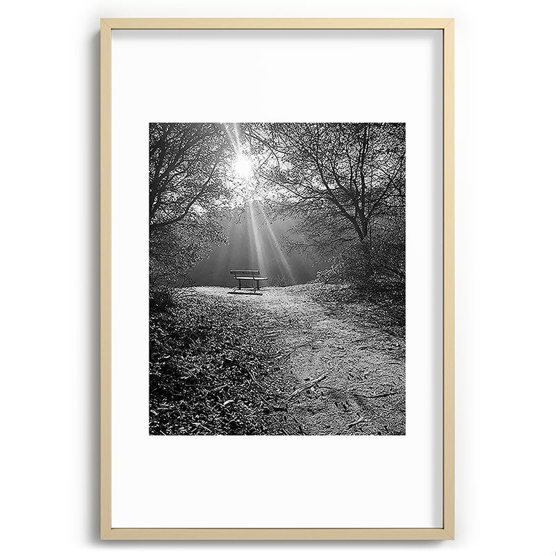 "Sunlit Solitude" by Maria Popova Framed Art Print
