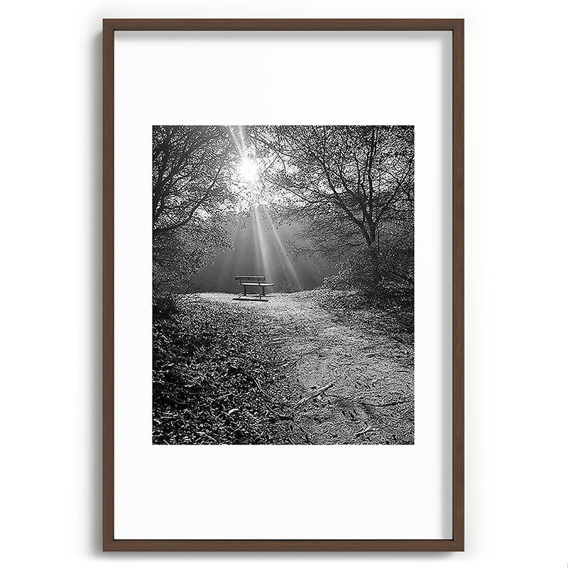 "Sunlit Solitude" by Maria Popova Framed Art Print