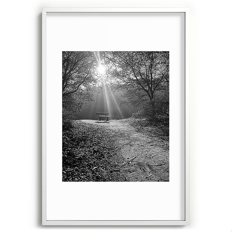 "Sunlit Solitude" by Maria Popova Framed Art Print