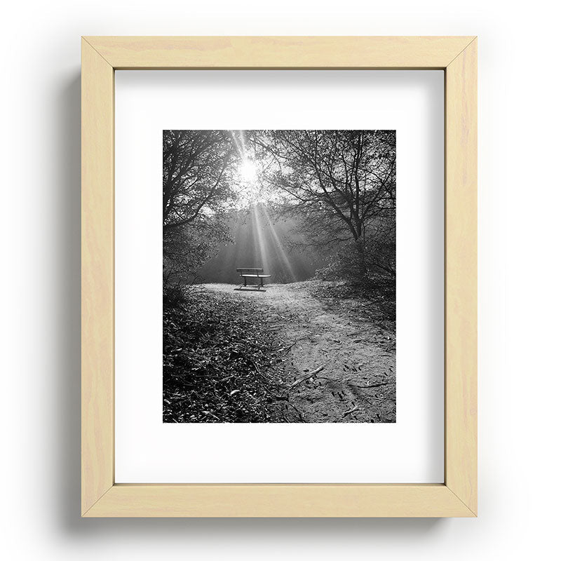 "Sunlit Solitude" by Maria Popova Framed Art Print