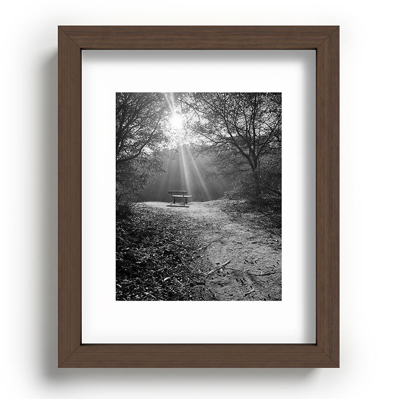 "Sunlit Solitude" by Maria Popova Framed Art Print